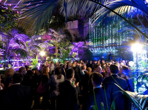 Discover a Hidden Oasis in the Iconic Barbican Conservatory this Christmas