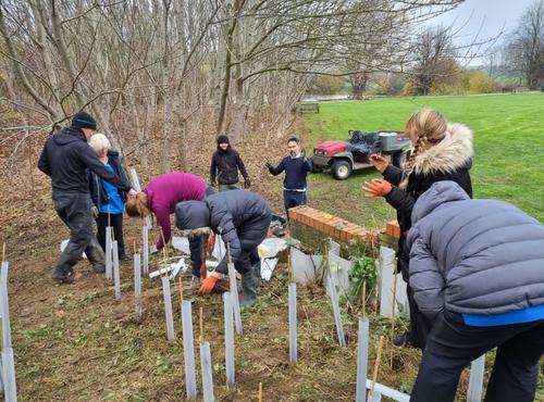 Wyboston Lakes plant 26,500 trees as guests opt out of having their rooms cleaned